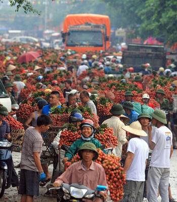 342 ngon me hoac dac san hai duong 2