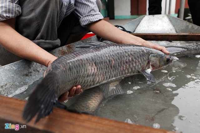 299 bi quyet kho ca dip tet o lang vu dai 02