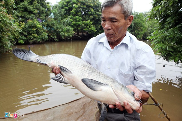 299 bi quyet kho ca dip tet o lang vu dai